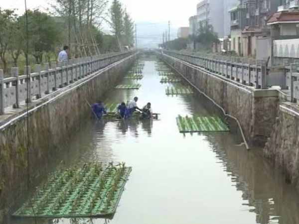 北京市大兴区永兴河生态工程