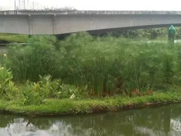 复合纤维湿地浮岛