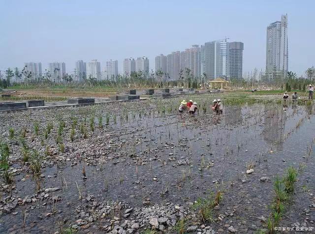 潜流湿地生态工程